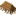 Ana Bina